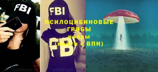 гидропоника Балабаново