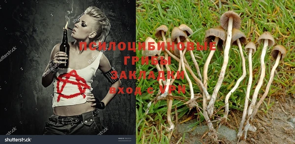 стафф Баксан