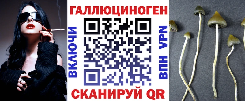 Псилоцибиновые грибы Magic Shrooms  Купить закладки  Городец 